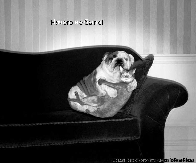 Ничего не было!... Котоматрица: Ничего не было!