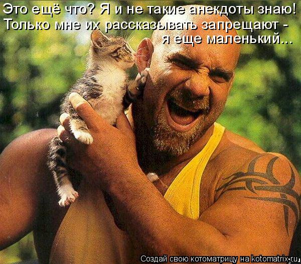 Это ещё что? Я и не такие анекдоты знаю! Только мне их рассказывать запрещают - я еще маленький...... Котоматрица: Это ещё что? Я и не такие анекдоты знаю! Только мне их рассказывать запрещают - я еще маленький...