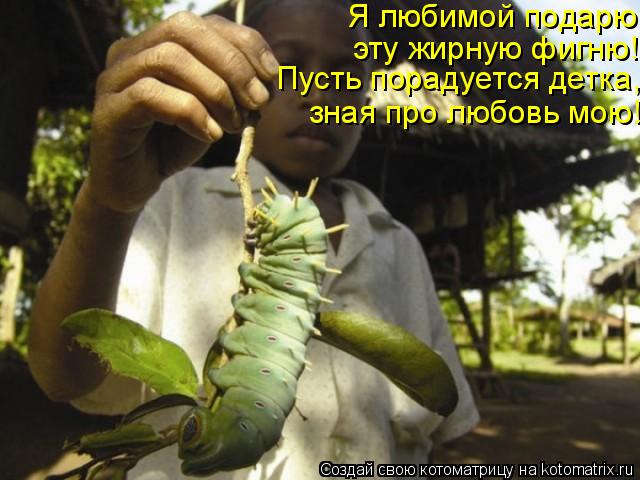Я любимой подарю эту жирную фигню! Пусть порадуется детка, зная про любовь мою!... Котоматрица: Я любимой подарю эту жирную фигню! Пусть порадуется детка, зная про любовь мою!