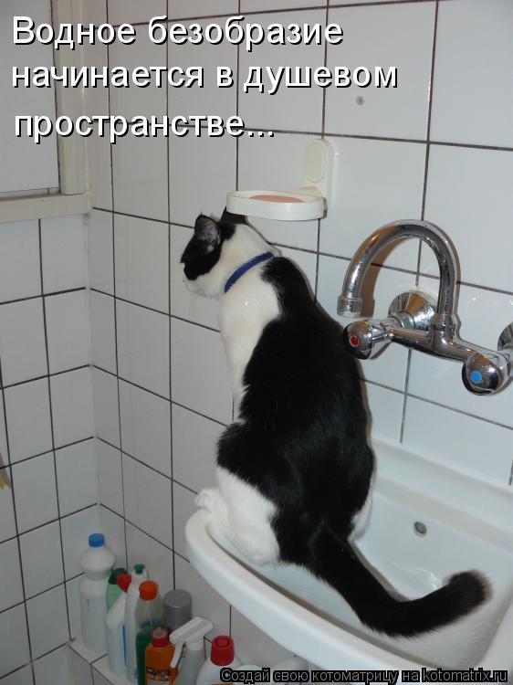 Водное безобразие начинается в душевом пространстве...... Котоматрица: Водное безобразие начинается в душевом пространстве...