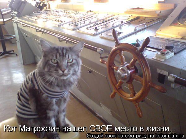 Кот Матроскин нашел СВОЕ место в жизни...... Котоматрица: Кот Матроскин нашел СВОЕ место в жизни...