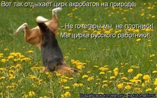Вот так отдыхает цирк акробатов на природе: - Не гочегары мы, не плотники! Мы цирка русского работник... Котоматрица: Вот так отдыхает цирк акробатов на природе: - Не гочегары мы, не плотники! Мы цирка русского работники!