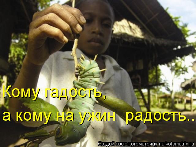 Кому гадость, а кому на ужин радость...... Котоматрица: Кому гадость, а кому на ужин радость...