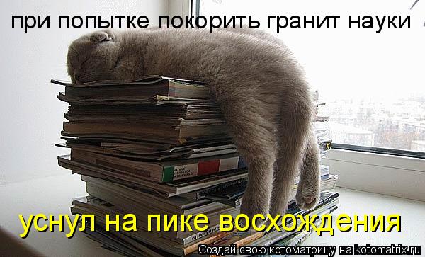 Котоматрица: при попытке покорить гранит науки уснул на пике восхождения