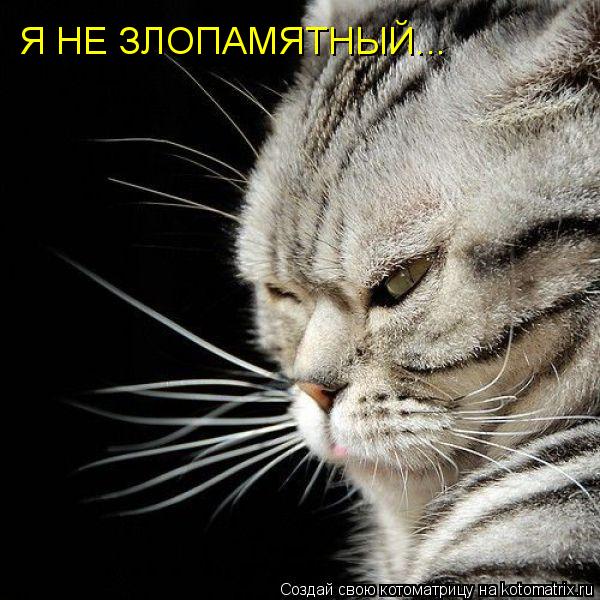 Я НЕ ЗЛОПАМЯТНЫЙ... Я НЕ ЗЛОПАМЯТНЫЙ...... Котоматрица: Я НЕ ЗЛОПАМЯТНЫЙ... Я НЕ ЗЛОПАМЯТНЫЙ...