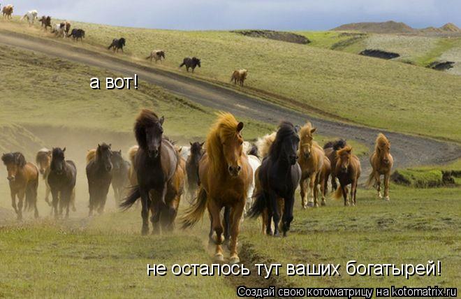 а вот! не осталось тут ваших богатырей!... Котоматрица: а вот! не осталось тут ваших богатырей!