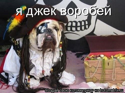 я джек воробей... Котоматрица: я джек воробей