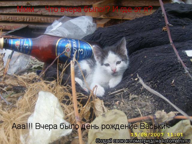 Ммм.... Что вчера было!? И где эт я? Ааа!!! Я вспомнил! Вчера было день рождение Васьки! Ааа!!! Вчера... Котоматрица: Ммм.... Что вчера было!? И где эт я? Ааа!!! Я вспомнил! Вчера было день рождение Васьки! Ааа!!! Вчера было день рождение Васьки!