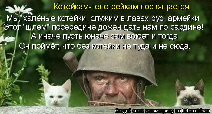 Мы, халёные котейки, служим в лавах рус. армейки. Этот "шлем" посередине дожен дать нам по сардине! А... Котоматрица: Мы, халёные котейки, служим в лавах рус. армейки. Этот "шлем" посередине дожен дать нам по сардине! А иначе пусть юначе сам воюет и тогда Он по