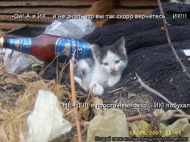 -Ой! А я ИК... и не знал, что вы так скоро вернётесь... ИК!!! НЕ-НЕ!!! я просто немножко... ИК! побух... Котоматрица: -Ой! А я ИК... и не знал, что вы так скоро вернётесь... ИК!!! НЕ-НЕ!!! я просто немножко... ИК! побухал...