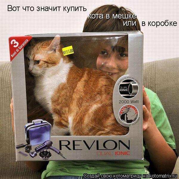 Котоматрица: Вот что значит купить кота в мешке  в коробке или