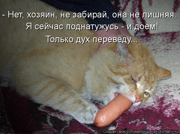 Котоматрица: - Нет, хозяин, не забирай, она не лишняя. Я сейчас поднатужусь - и доем!  Только дух переведу...