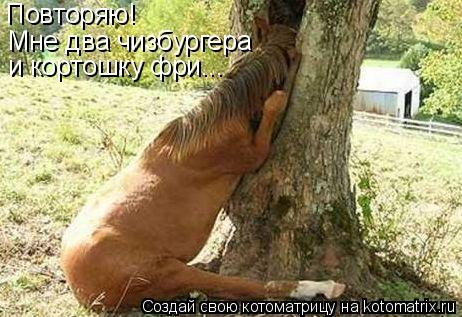 Повторяю! Мне два чизбургера и кортошку фри...... Котоматрица: Повторяю! Мне два чизбургера и кортошку фри...