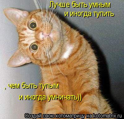 Лучше быть умным и иногда тупить , чем быть тупым и иногда умничать))... Котоматрица: Лучше быть умным и иногда тупить , чем быть тупым и иногда умничать))