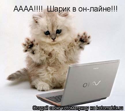 АААА!!!! Шарик в он-лайне!!!... Котоматрица: АААА!!!! Шарик в он-лайне!!!
