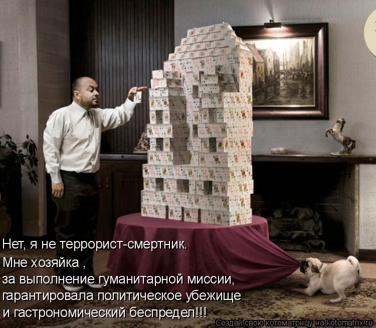 и гастрономический беспредел!!! гарантировала политическое убежище за выполнение гуманитарной миссии,... Котоматрица: и гастрономический беспредел!!! гарантировала политическое убежище за выполнение гуманитарной миссии, Мне хозяйка , Нет, я не террорист-сме