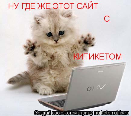 НУ ГДЕ ЖЕ ЭТОТ САЙТ С КИТИКЕТОМ... Котоматрица: НУ ГДЕ ЖЕ ЭТОТ САЙТ С КИТИКЕТОМ