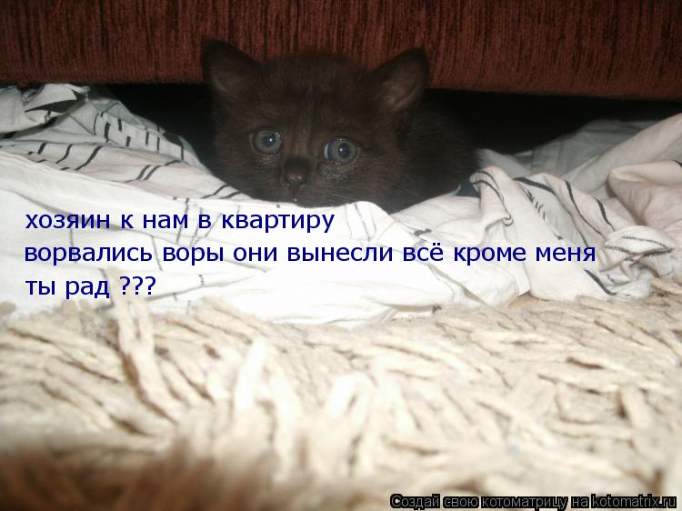 хозяин к нам в квартиру ворвались воры они вынесли всё кроме меня ты рад ???... Котоматрица: хозяин к нам в квартиру ворвались воры они вынесли всё кроме меня ты рад ???
