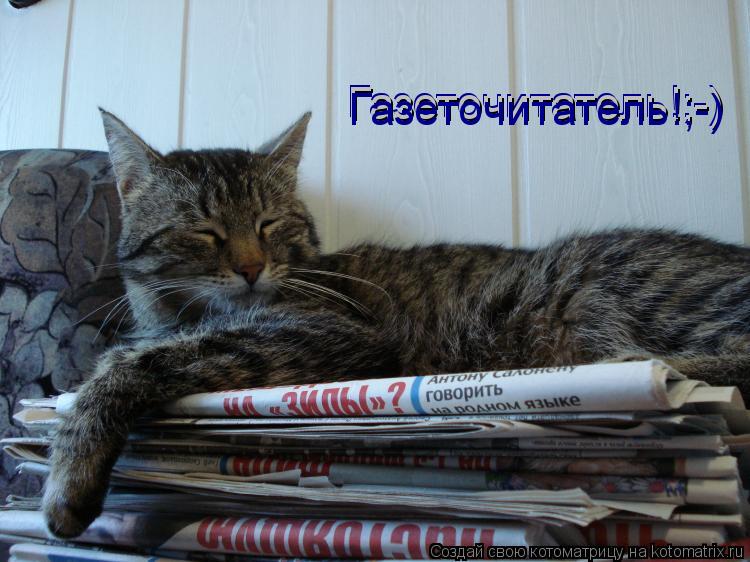 Газеточитатель!;-) Газеточитатель!;-) Газеточитатель!;-)... Котоматрица: Газеточитатель!;-) Газеточитатель!;-) Газеточитатель!;-)