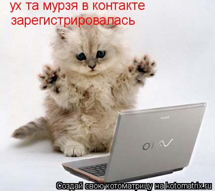 ух та мурзя в контакте зарегистрировалась... Котоматрица: ух та мурзя в контакте зарегистрировалась