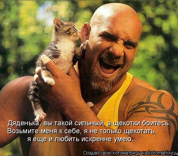 Дяденька, вы такой сильный, а щекотки боитесь. Возьмите меня к себе, я не только щекотать, я еще и л... Котоматрица: Дяденька, вы такой сильный, а щекотки боитесь. Возьмите меня к себе, я не только щекотать, я еще и любить искренне умею...