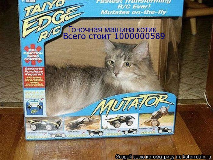 Гоночная машина котик. Всего стоит 1000000589... Котоматрица: Гоночная машина котик. Всего стоит 1000000589