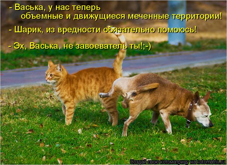 - Васька, у нас теперь объемные и движущиеся меченные территории! - Шарик, из вредности обязательно ... Котоматрица: - Васька, у нас теперь объемные и движущиеся меченные территории! - Шарик, из вредности обязательно помоюсь! - Эх, Васька, не завоеватель ты!;-)