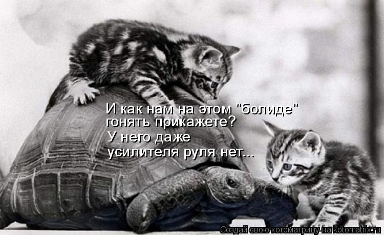 И как нам на этом "болиде" гонять прикажете? У него даже усилителя руля нет...... Котоматрица: И как нам на этом "болиде" гонять прикажете? У него даже усилителя руля нет...