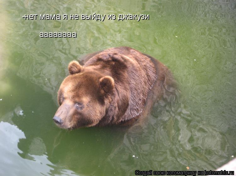 -нет мама я не выйду из джакузи аааааааа... Котоматрица: -нет мама я не выйду из джакузи аааааааа