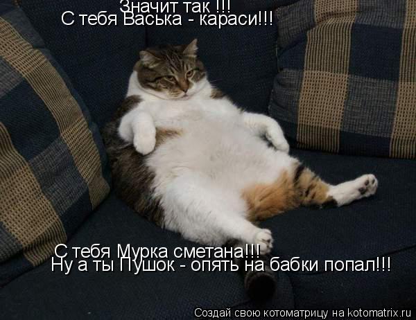 Значит так !!! Значит так !!! С тебя Васька - караси!!! С тебя Мурка сметана!!! Ну а ты Пушок - опять... Котоматрица: Значит так !!! Значит так !!! С тебя Васька - караси!!! С тебя Мурка сметана!!! Ну а ты Пушок - опять на бабки попал!!!