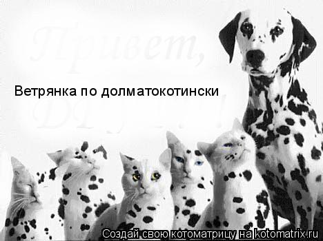 Ветрянка по долматокотински... Котоматрица: Ветрянка по долматокотински