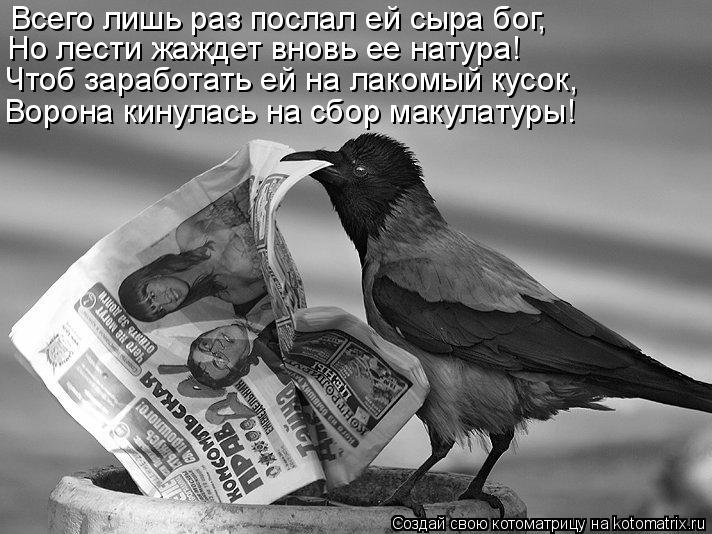 Всего лишь раз послал ей сыра бог, Но лести жаждет вновь ее натура! Чтоб заработать ей на лакомый кус... Котоматрица: Всего лишь раз послал ей сыра бог, Но лести жаждет вновь ее натура! Чтоб заработать ей на лакомый кусок, Ворона кинулась на сбор макулатуры!