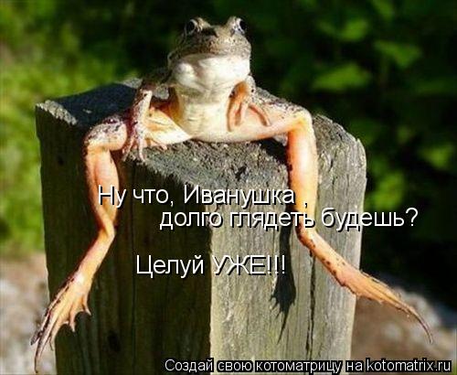 долго глядеть будешь? Целуй УЖЕ!!! Ну что, Иванушка ,... Котоматрица: долго глядеть будешь? Целуй УЖЕ!!! Ну что, Иванушка ,