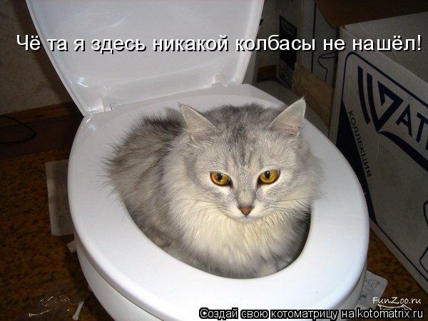 Чё та я здесь никакой колбасы не нашёл!... Котоматрица: Чё та я здесь никакой колбасы не нашёл!