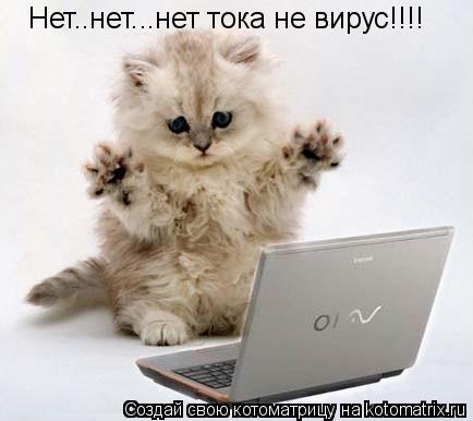Нет..нет...нет тока не вирус!!!!... Котоматрица: Нет..нет...нет тока не вирус!!!!