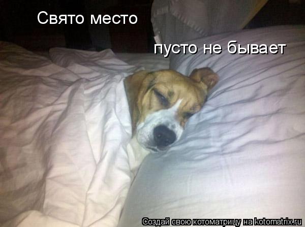 Свято место пусто не бывает... Котоматрица: Свято место пусто не бывает