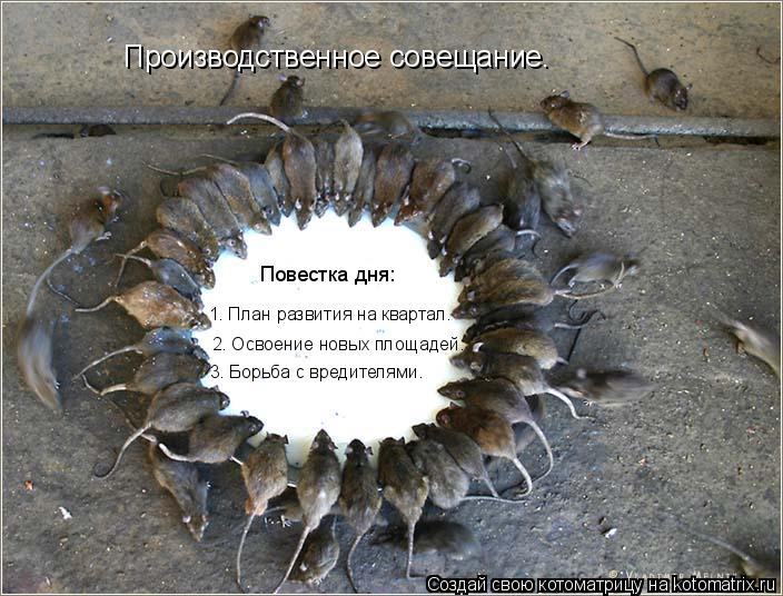 2. Освоение новых площадей. Повестка дня: Производственное совещание. 3. Борьба с вредителями. 1. Пла... Котоматрица: 2. Освоение новых площадей. Повестка дня: Производственное совещание. 3. Борьба с вредителями. 1. План развития на квартал.