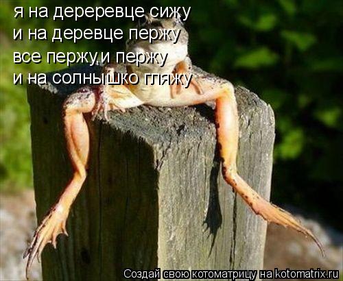 я на дереревце сижу и на деревце пержу все пержу,и пержу и на солнышко гляжу... Котоматрица: я на дереревце сижу и на деревце пержу все пержу,и пержу и на солнышко гляжу