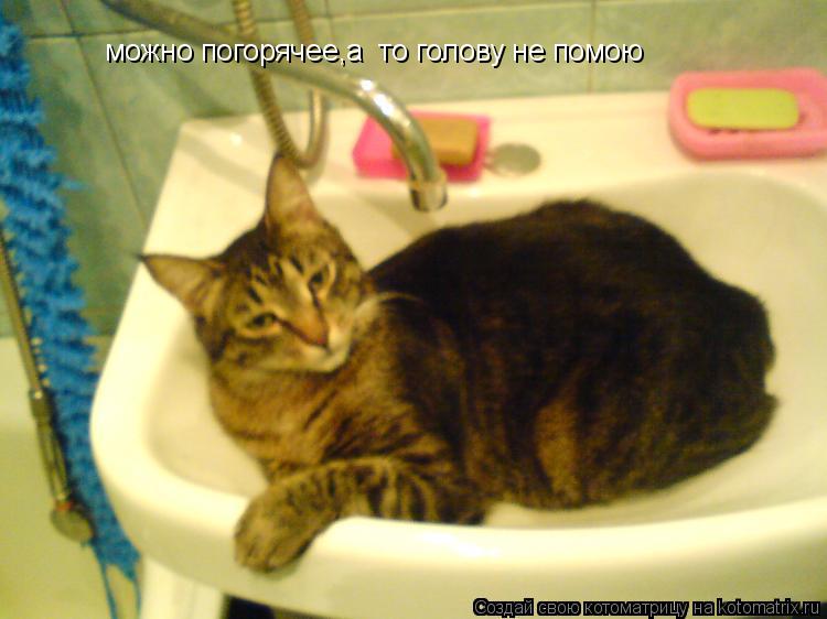 можно погорячее,а то голову не помою... Котоматрица: можно погорячее,а то голову не помою