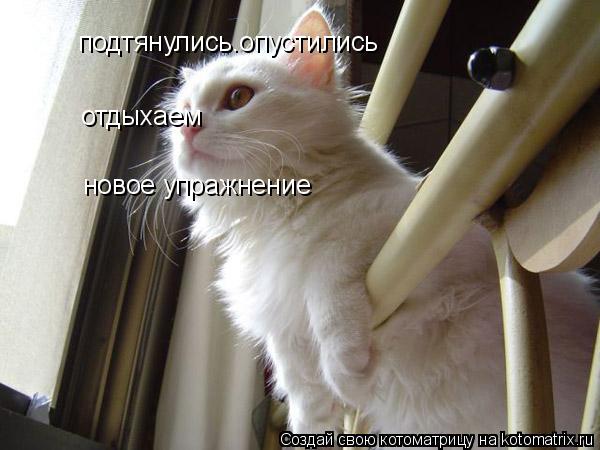 подтянулись.опустились отдыхаем новое упражнение... Котоматрица: подтянулись.опустились отдыхаем новое упражнение