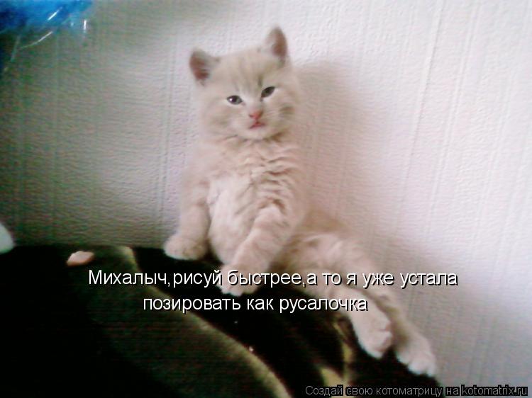 Михалыч,рисуй быстрее,а то я уже устала позировать как русалочка... Котоматрица: Михалыч,рисуй быстрее,а то я уже устала позировать как русалочка
