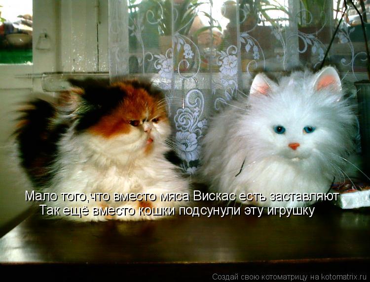 Мало того,что вместо мяса Вискас есть заставляют Так ещё вместо кошки подсунули эту игрушку... Котоматрица: Мало того,что вместо мяса Вискас есть заставляют Так ещё вместо кошки подсунули эту игрушку