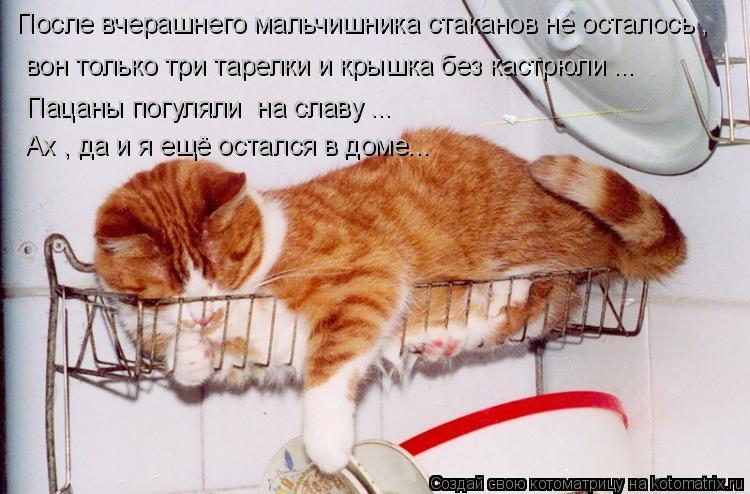 После вчерашнего мальчишника стаканов не осталось , вон только три тарелки и крышка без кастрюли ... ... Котоматрица: После вчерашнего мальчишника стаканов не осталось , вон только три тарелки и крышка без кастрюли ... Пацаны погуляли на славу ... Ах , да и я ещ