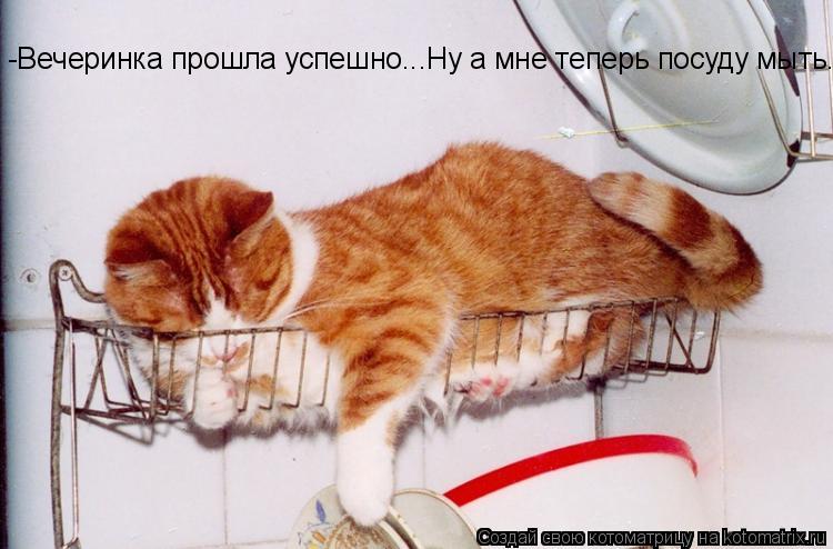-Вечеринка прошла успешно...Ну а мне теперь посуду мыть...... Котоматрица: -Вечеринка прошла успешно...Ну а мне теперь посуду мыть...