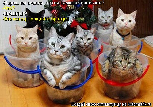 -Народ, вы видели, что на крышках написано? -Что? -ШАШЛЫК! -Это конец, прощайте братцы!... Котоматрица: -Народ, вы видели, что на крышках написано? -Что? -ШАШЛЫК! -Это конец, прощайте братцы!