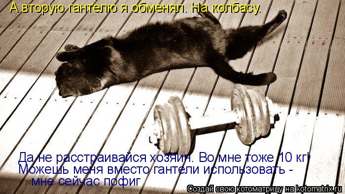 А вторую гантелю я обменял. На колбасу. Да не расстраивайся хозяин. Во мне тоже 10 кг! Можешь меня... Котоматрица: А вторую гантелю я обменял. На колбасу. Да не расстраивайся хозяин. Во мне тоже 10 кг! Можешь меня вместо гантели использовать - мне сейчас п