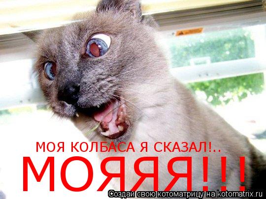МОЯ КОЛБАСА Я СКАЗАЛ!.. МОЯЯЯ!!!... Котоматрица: МОЯ КОЛБАСА Я СКАЗАЛ!.. МОЯЯЯ!!!