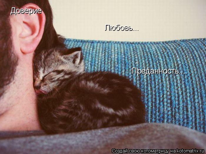 Доверие Любовь... Преданность....... Котоматрица: Доверие Любовь... Преданность....