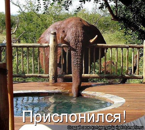 Прислонился!... Котоматрица: Прислонился!