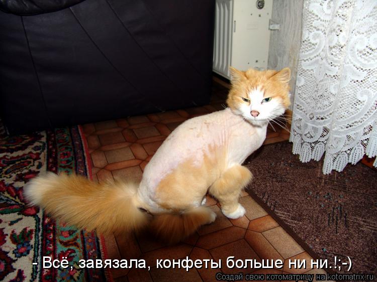 - Всё, завязала, конфеты больше ни ни…!;-)... Котоматрица: - Всё, завязала, конфеты больше ни ни…!;-)